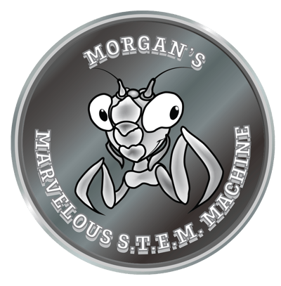 morgan coin